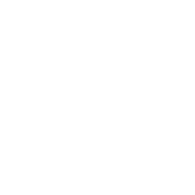 Z-AI